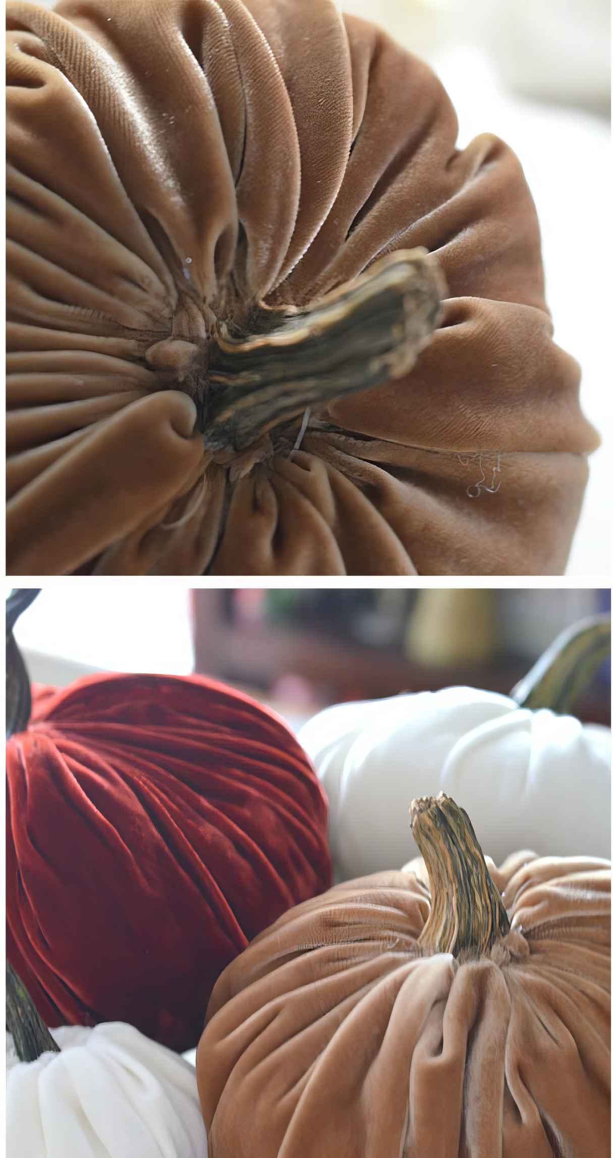 Cozy Velvet Pumpkins