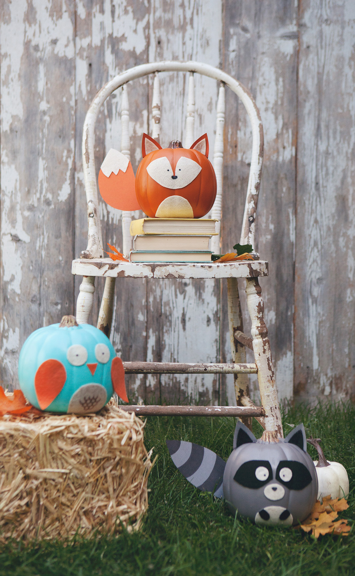 Woodland Creature No-Carve Pumpkins