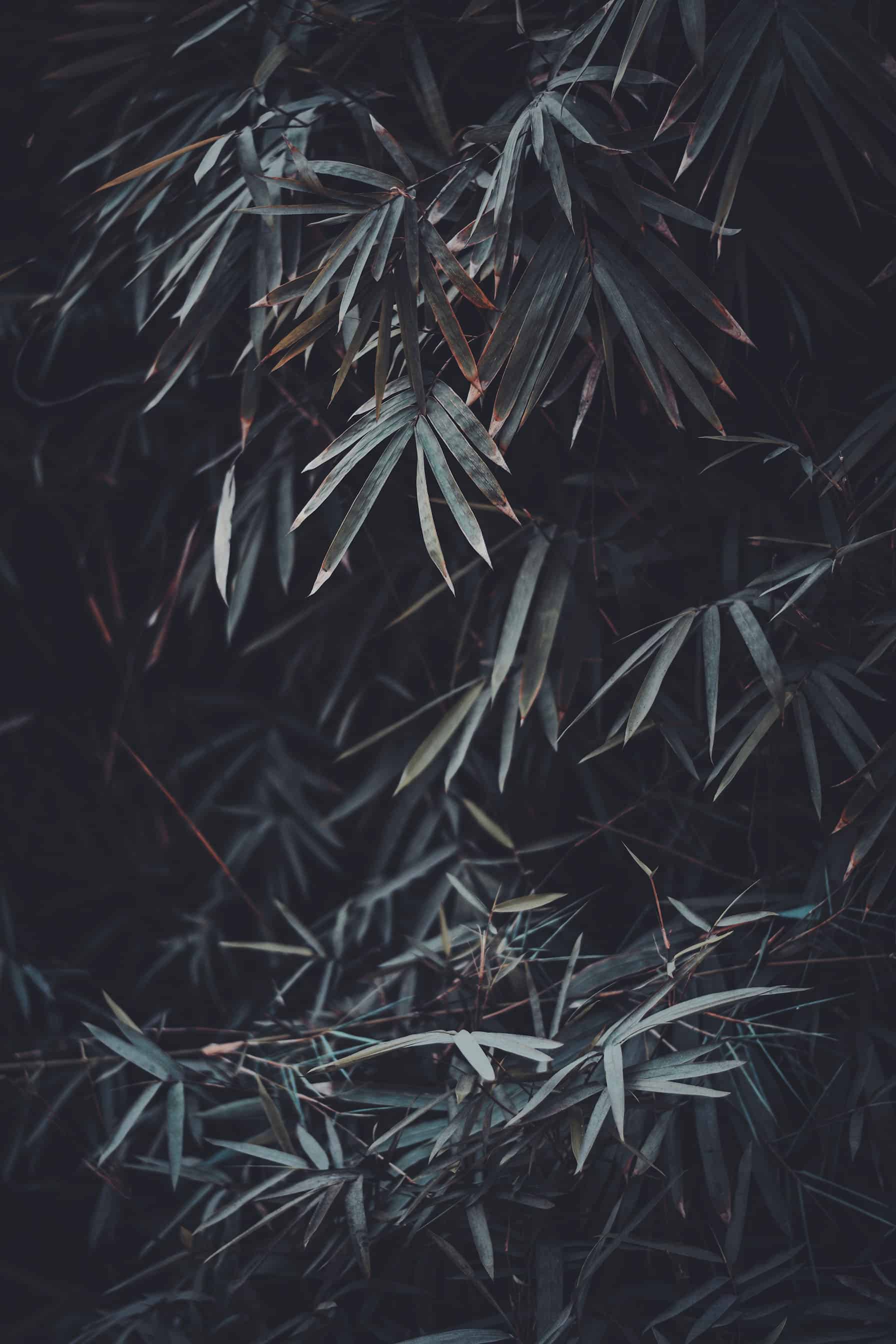 Featured image of post Dark Iphone Unique Wallpaper - Based on what you stated, it seems like you want to know more about how the iphone will change the background automatically between.