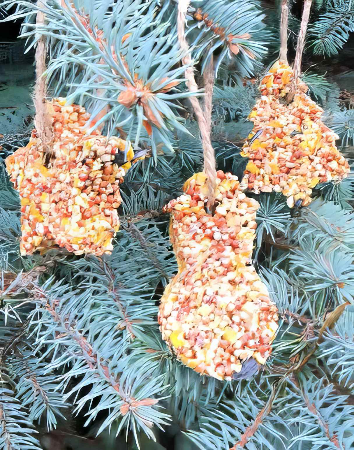 Homemade Cookie Cutter Bird Feeders