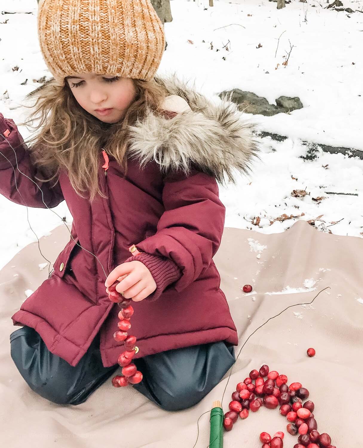 Outdoor Winter Activity for Kids in the Woods