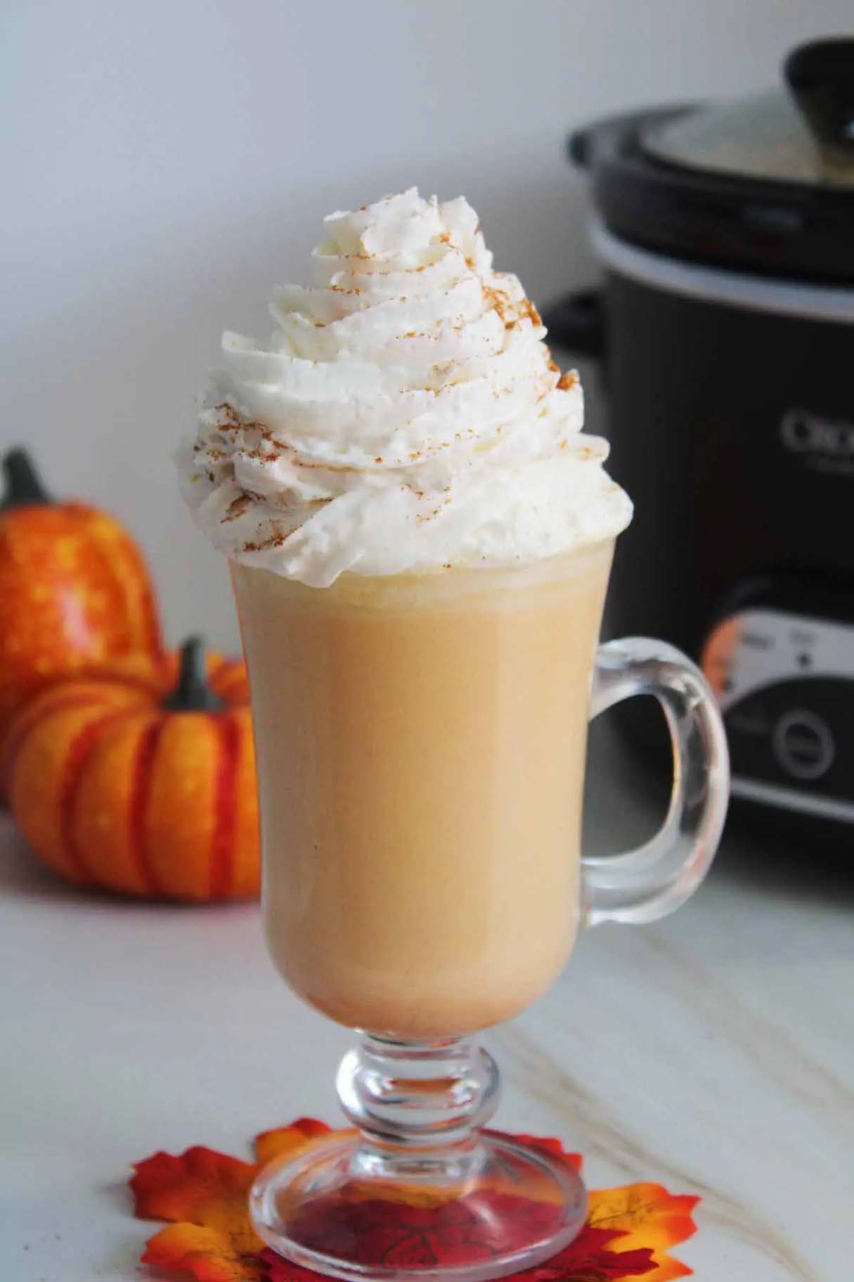 Crockpot Pumpkin Spice Hot Chocolate