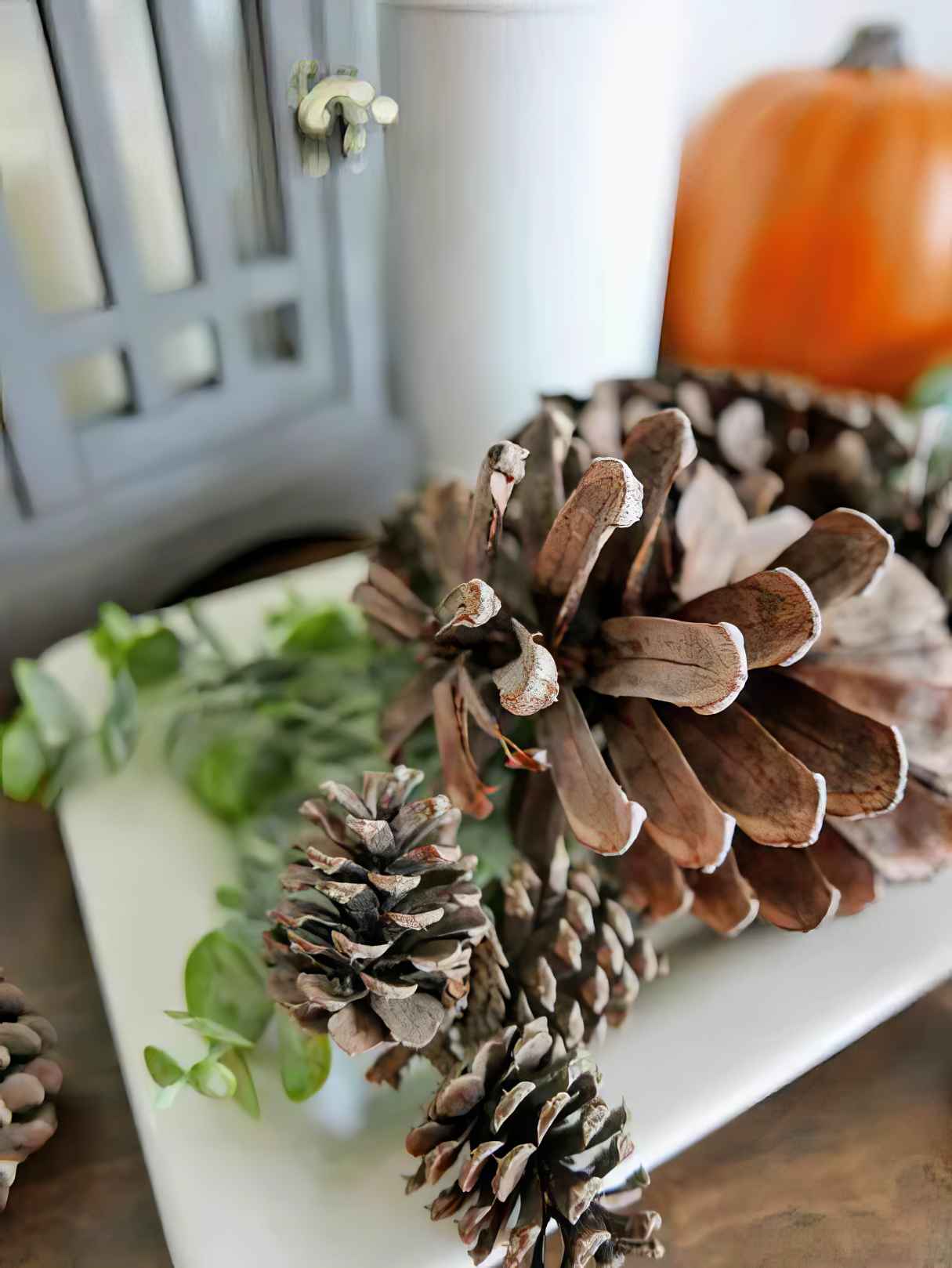 How To Make DIY Scented Pinecones (4 Methods!)