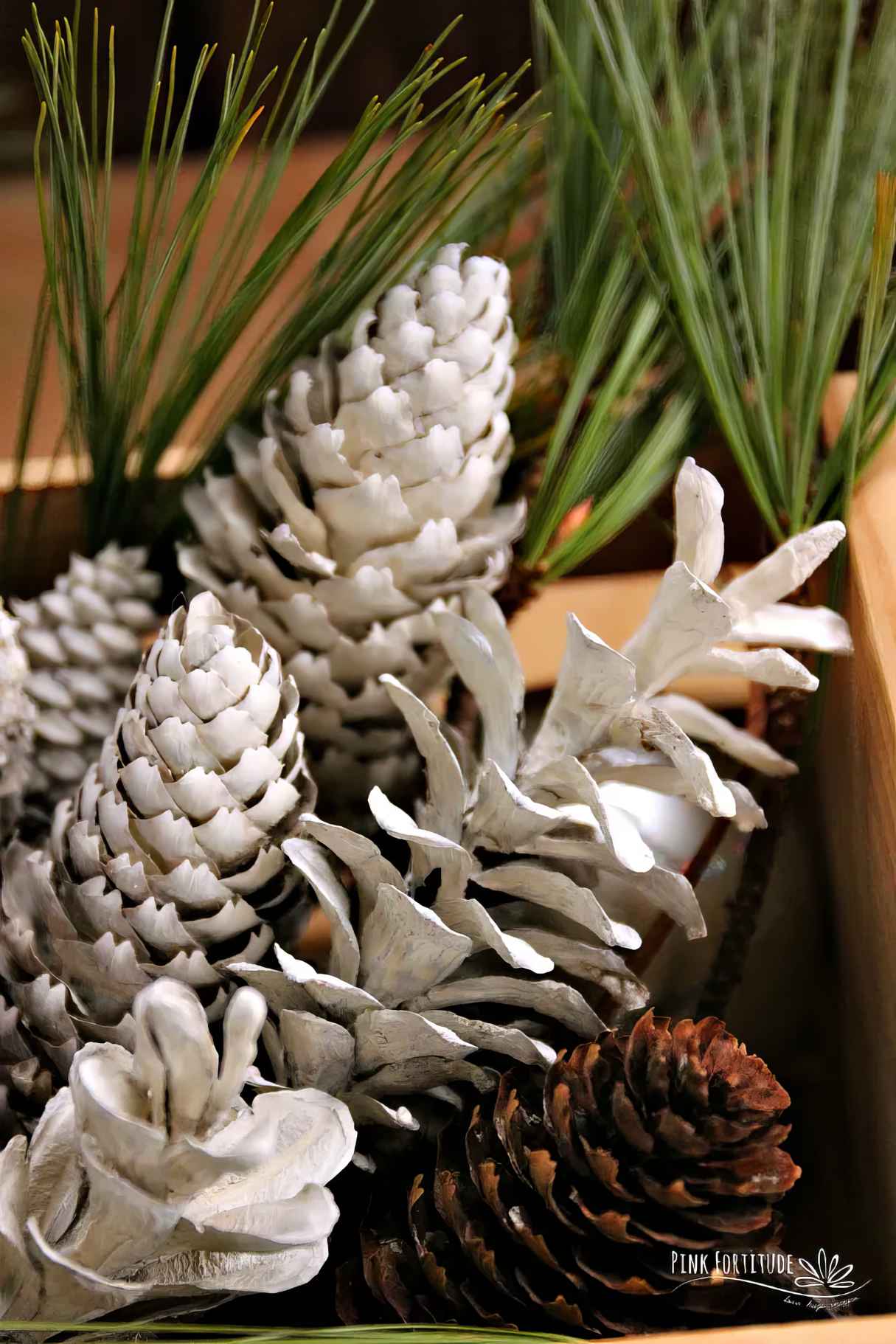 How to Make Bleached Pinecones Without Bleach