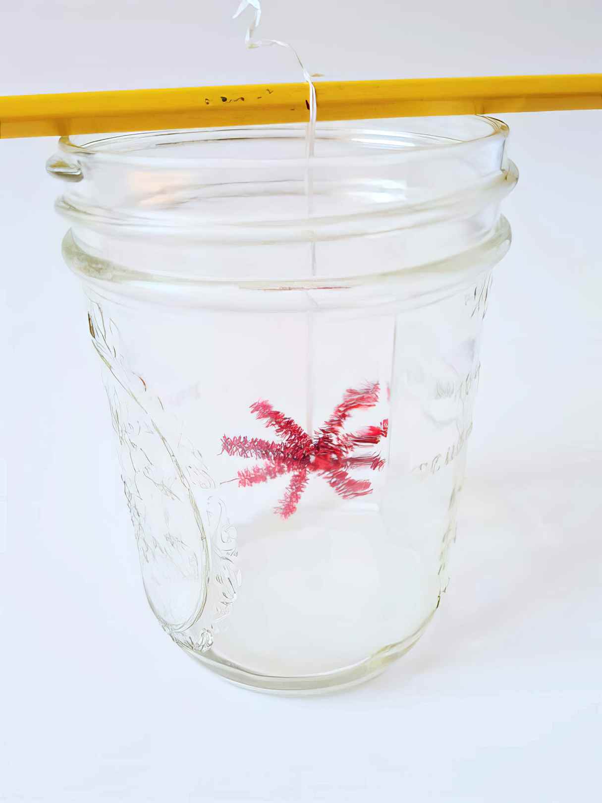How to Make Borax Crystal Snowflakes