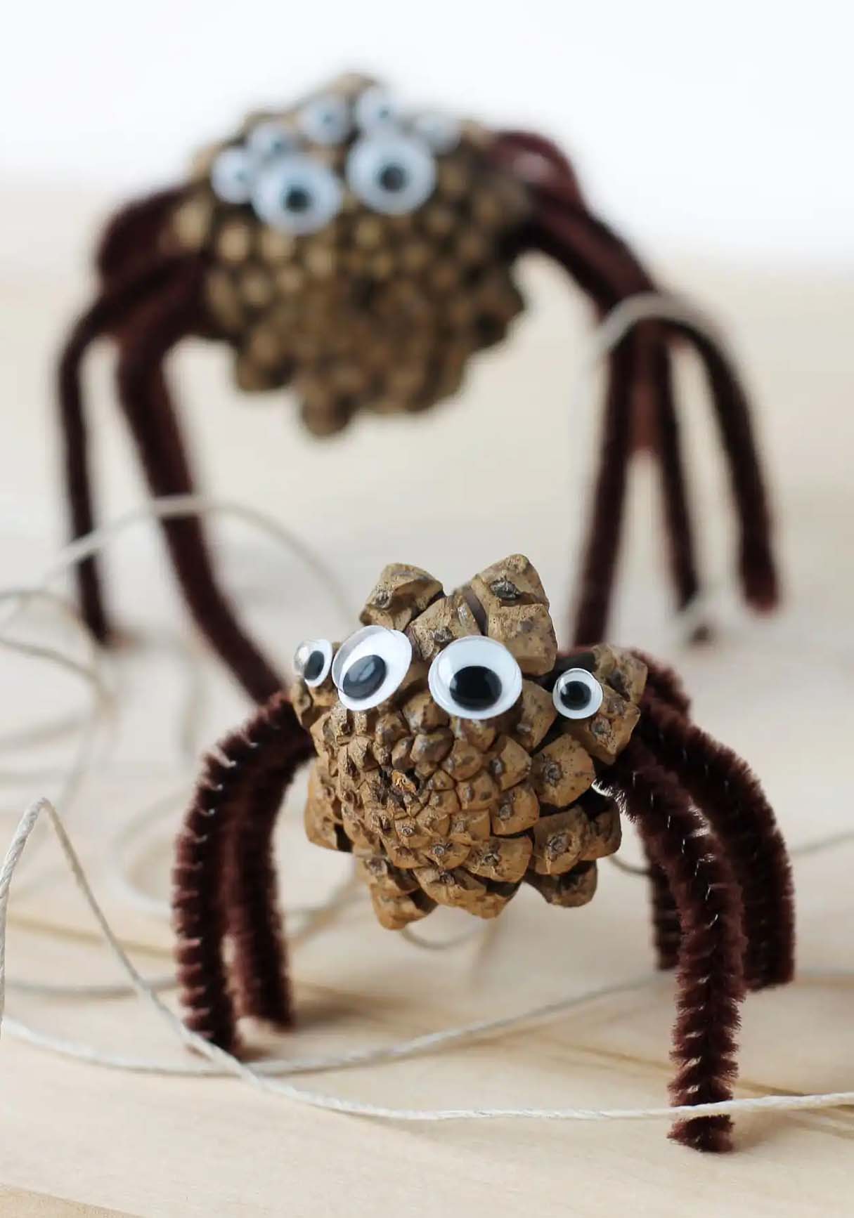 How to Make Pine Cone Spiders