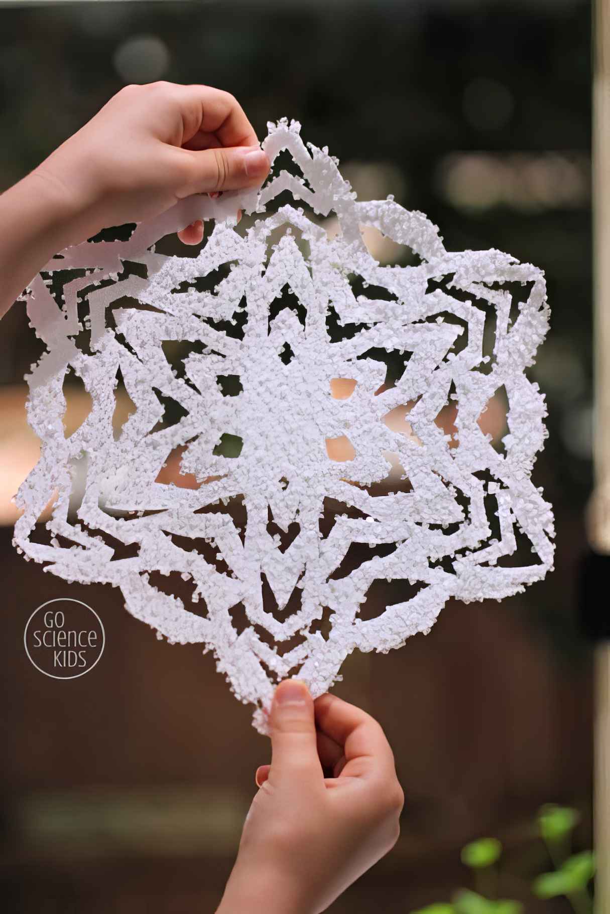Salt Crystal Paper Snowflakes - Winter Themed Crafts!