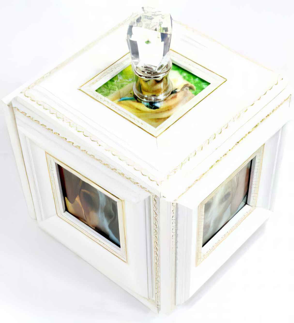 DIY Dog Treat Photo Cube