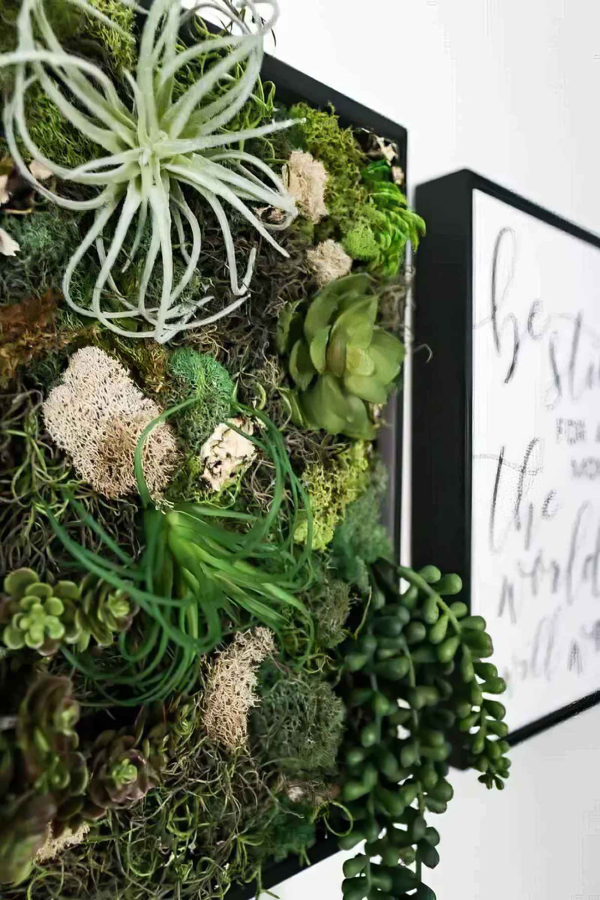 DIY Fake Succulent Wall Decor
