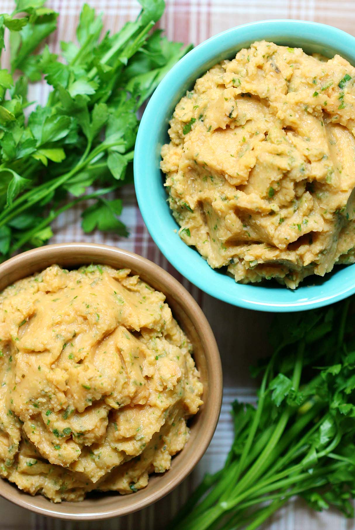 Spicy Garden Carrot Hummus