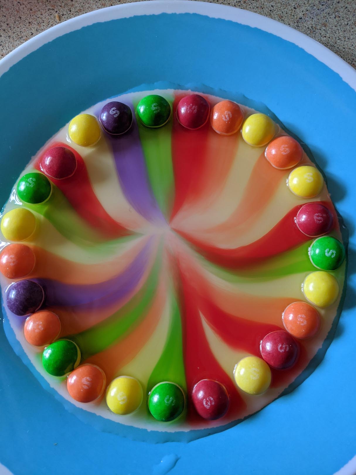 Easy Science Project With Skittles