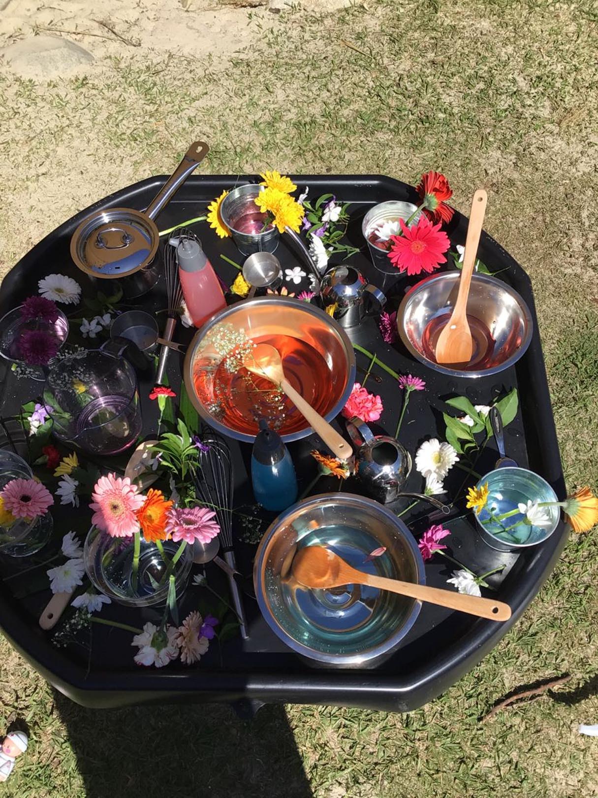 Flower Potions STEM Activity