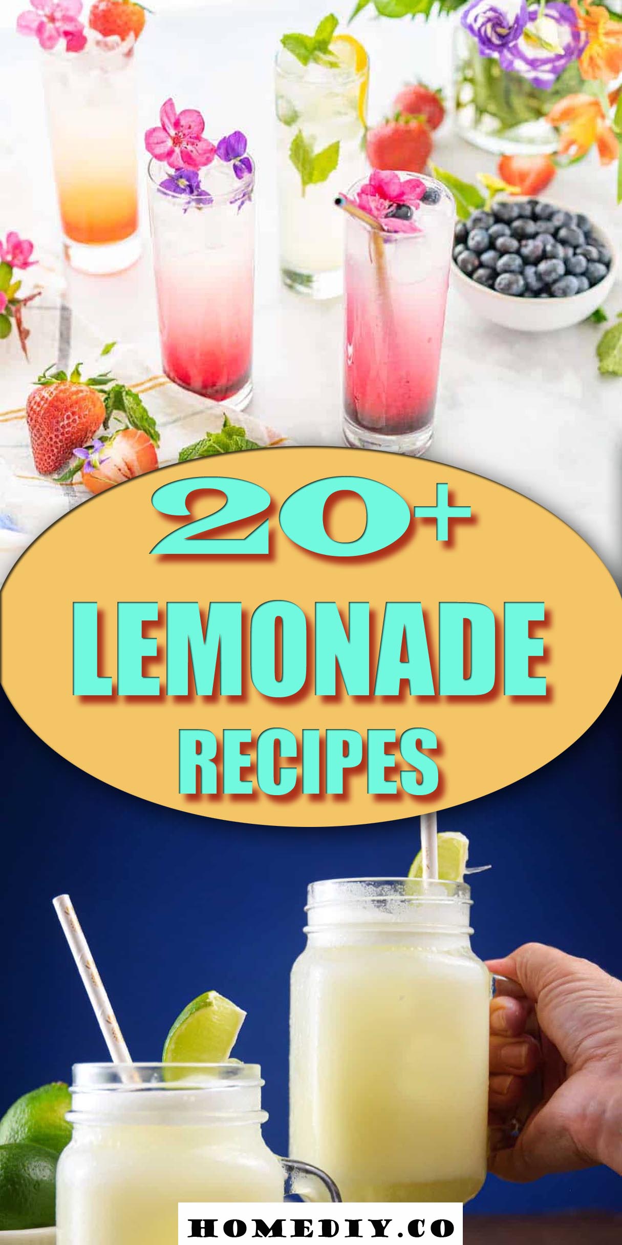 20+ Lemonade Recipes