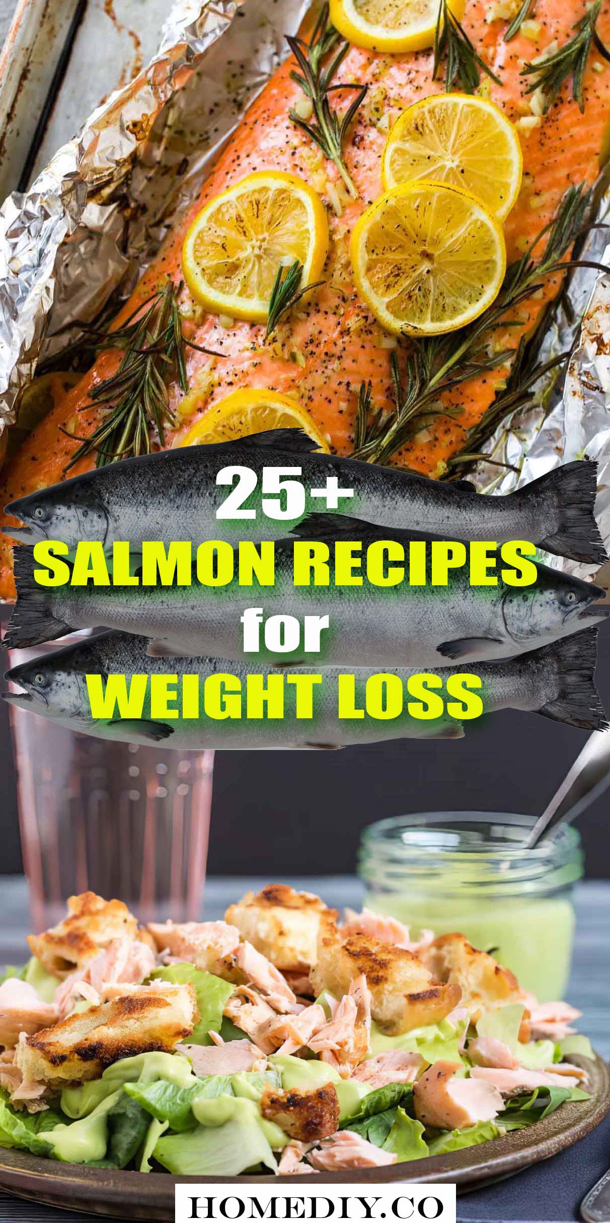25+ Salmon Recipes for Weight Loss