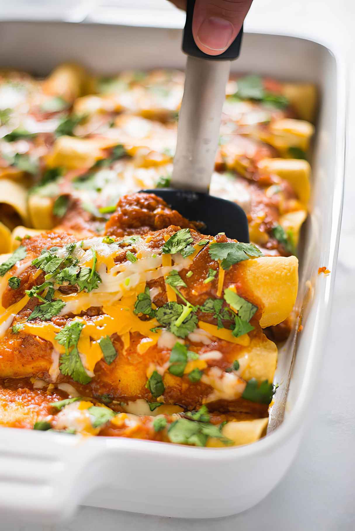 Shredded Chicken Enchiladas