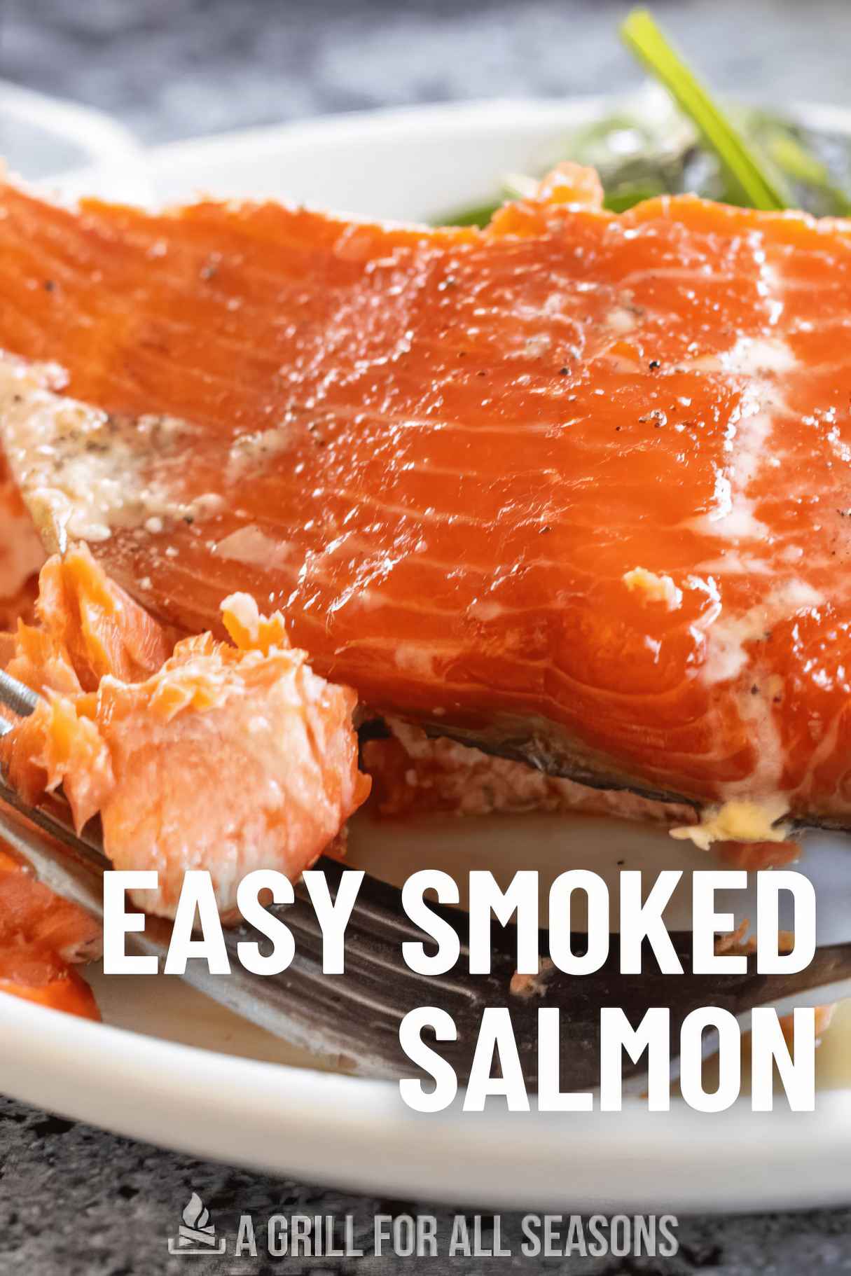 Brown Sugar Smoked Salmon Recipe Made with Traeger Grill