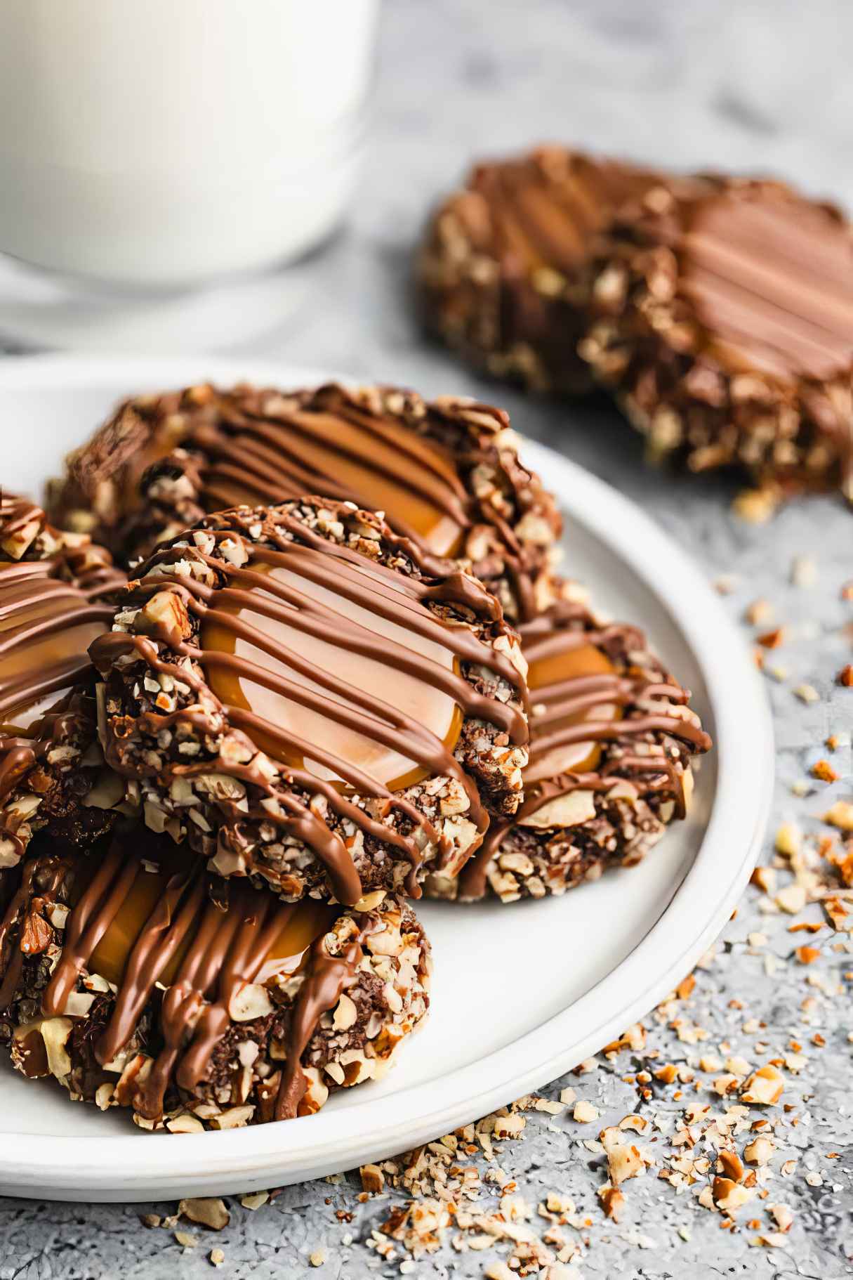 Fantastic Turtle Cookies