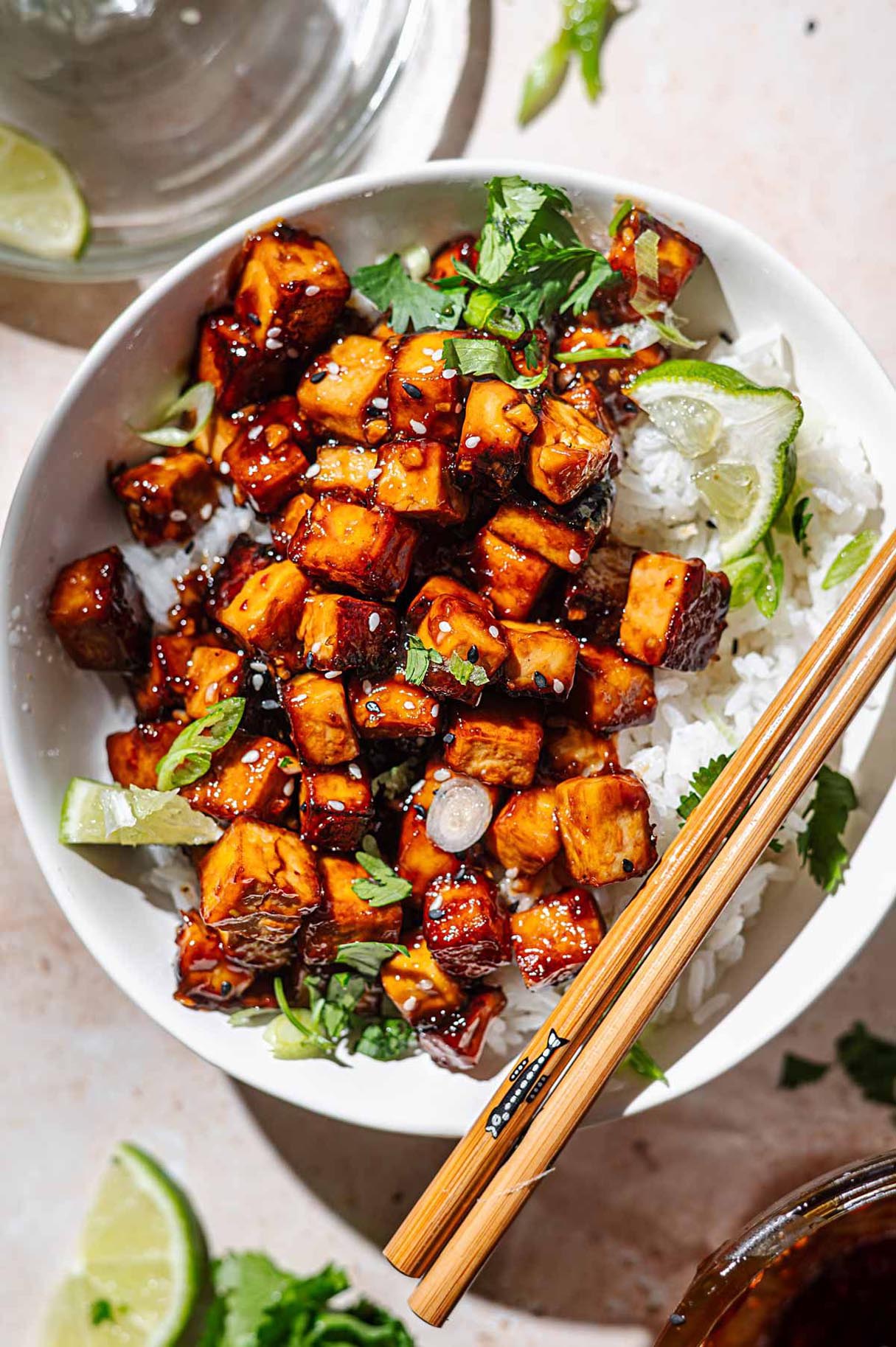 Vegan Garlic Teriyaki Tofu for Beginners