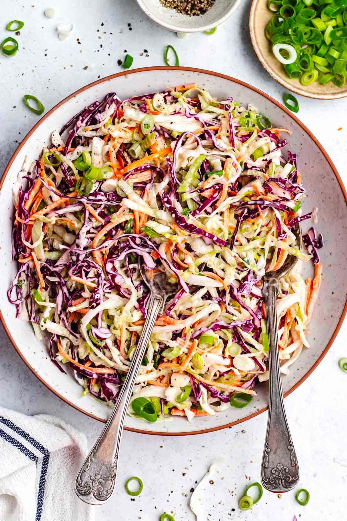 Try to Make The Best Homemade Coleslaw Recipe!