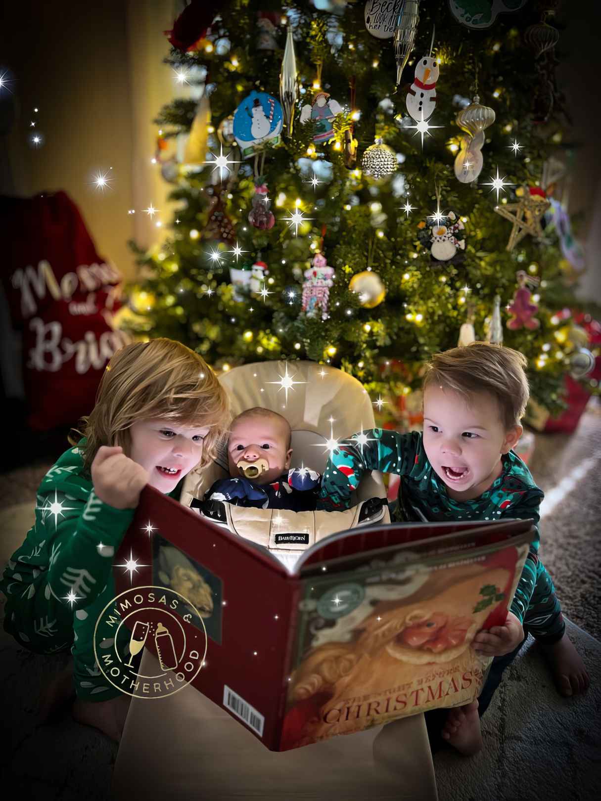 24 Days of Christmas Books for Advent
