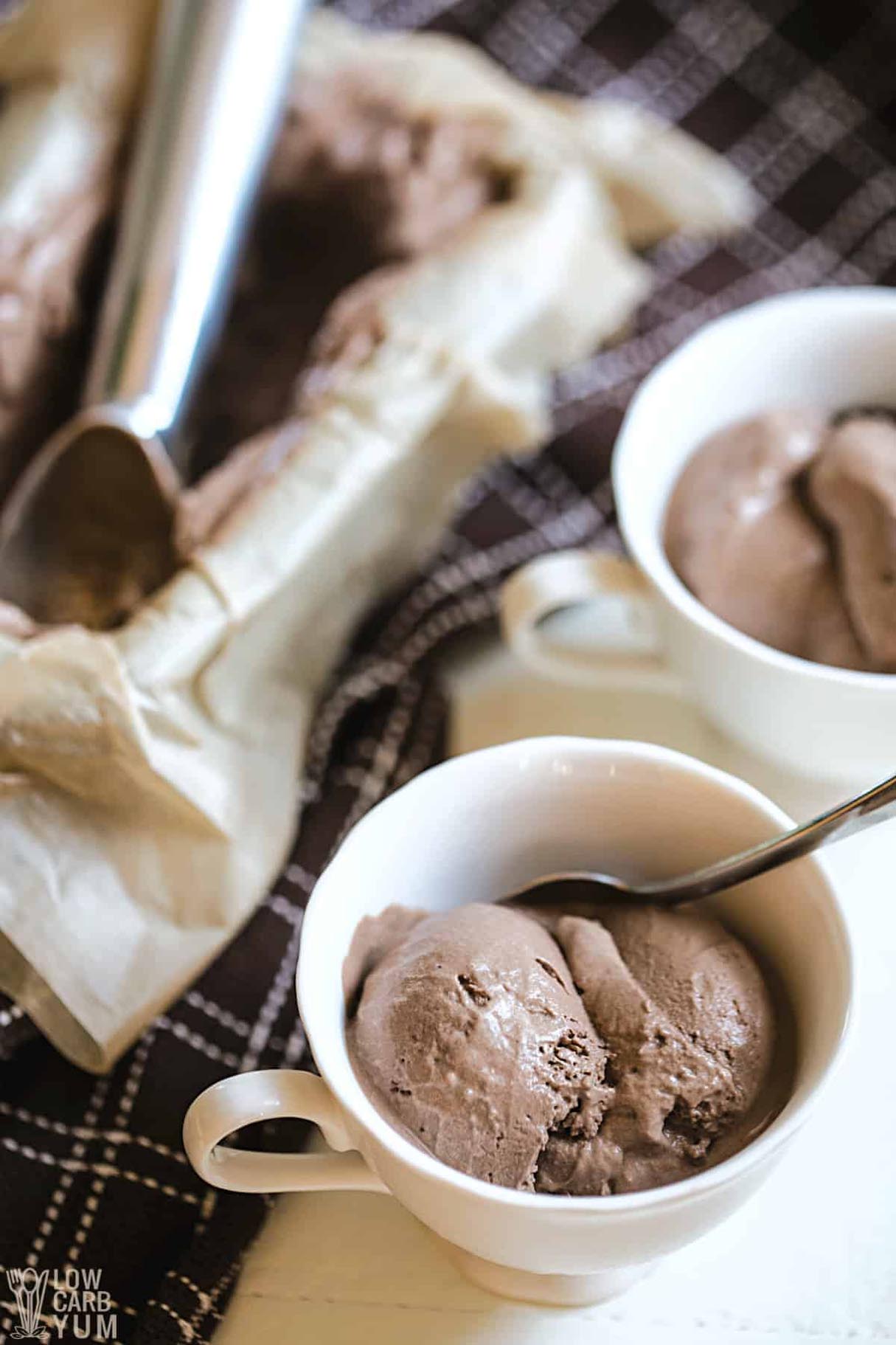 Chocolate Dairy Free Ice Cream Recipe - Keto