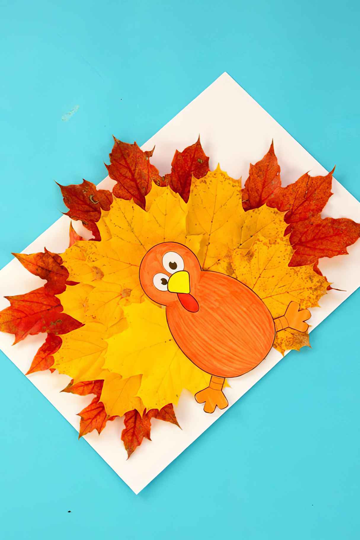 Turkey Leaf Craft Template