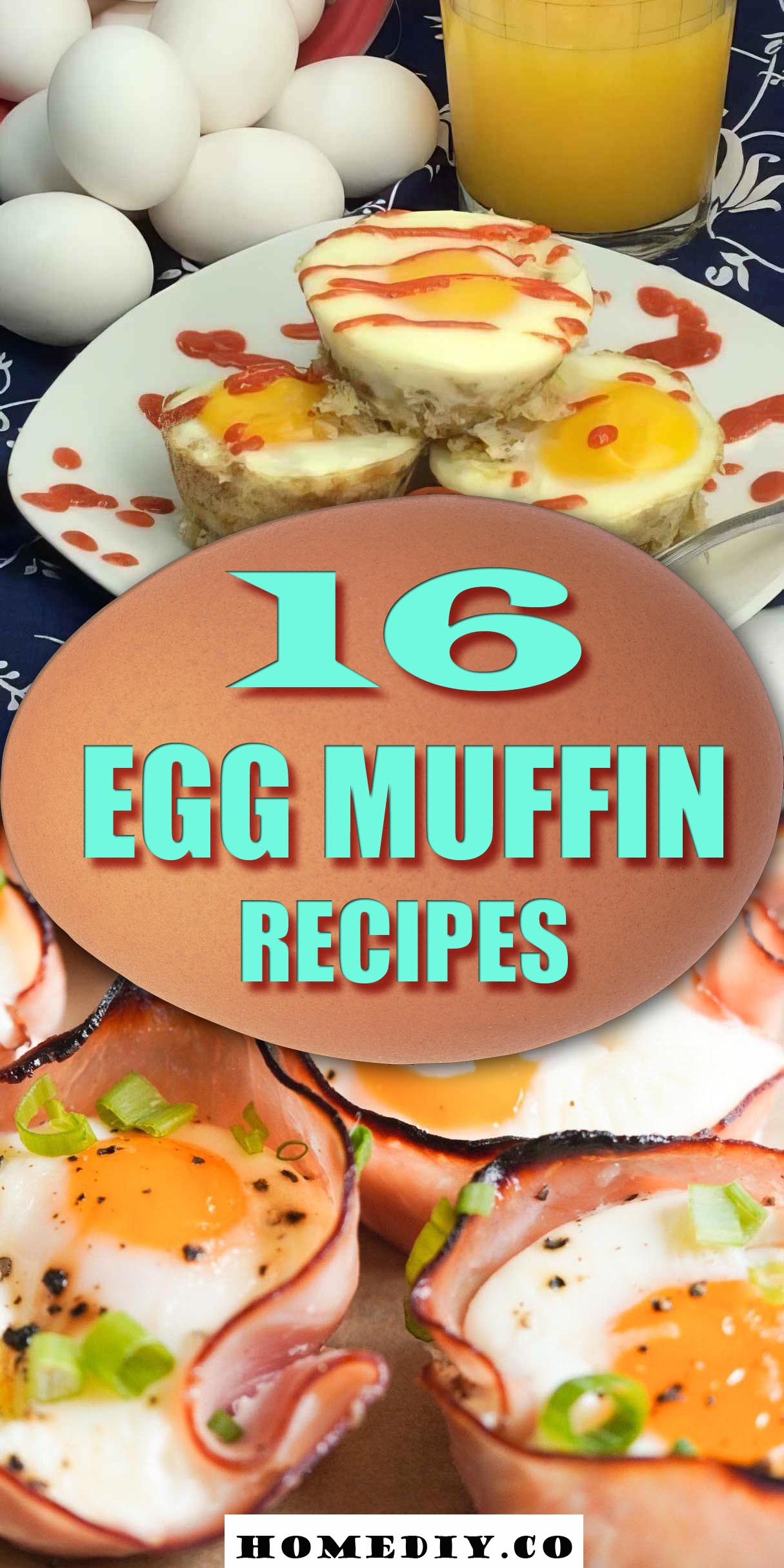16 Egg Muffin Recipes
