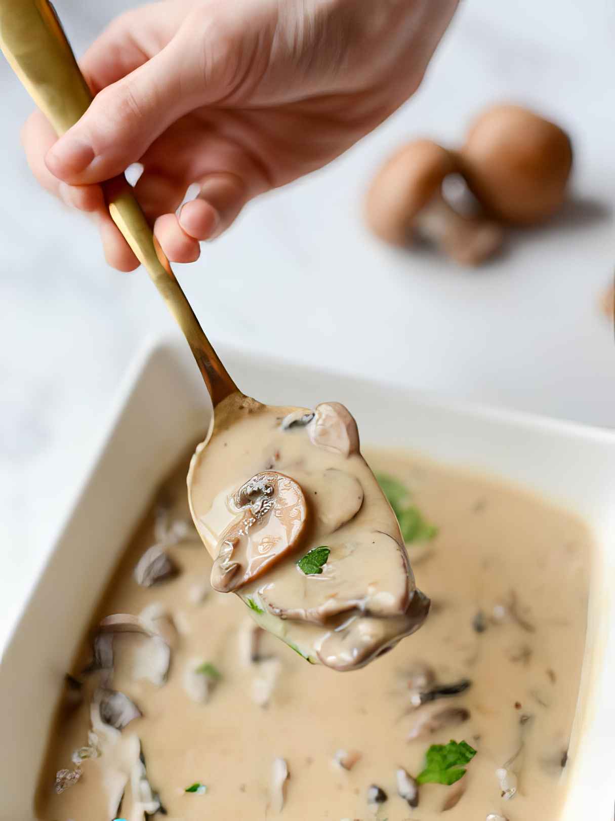 Cream of Mushroom Soup Recipe