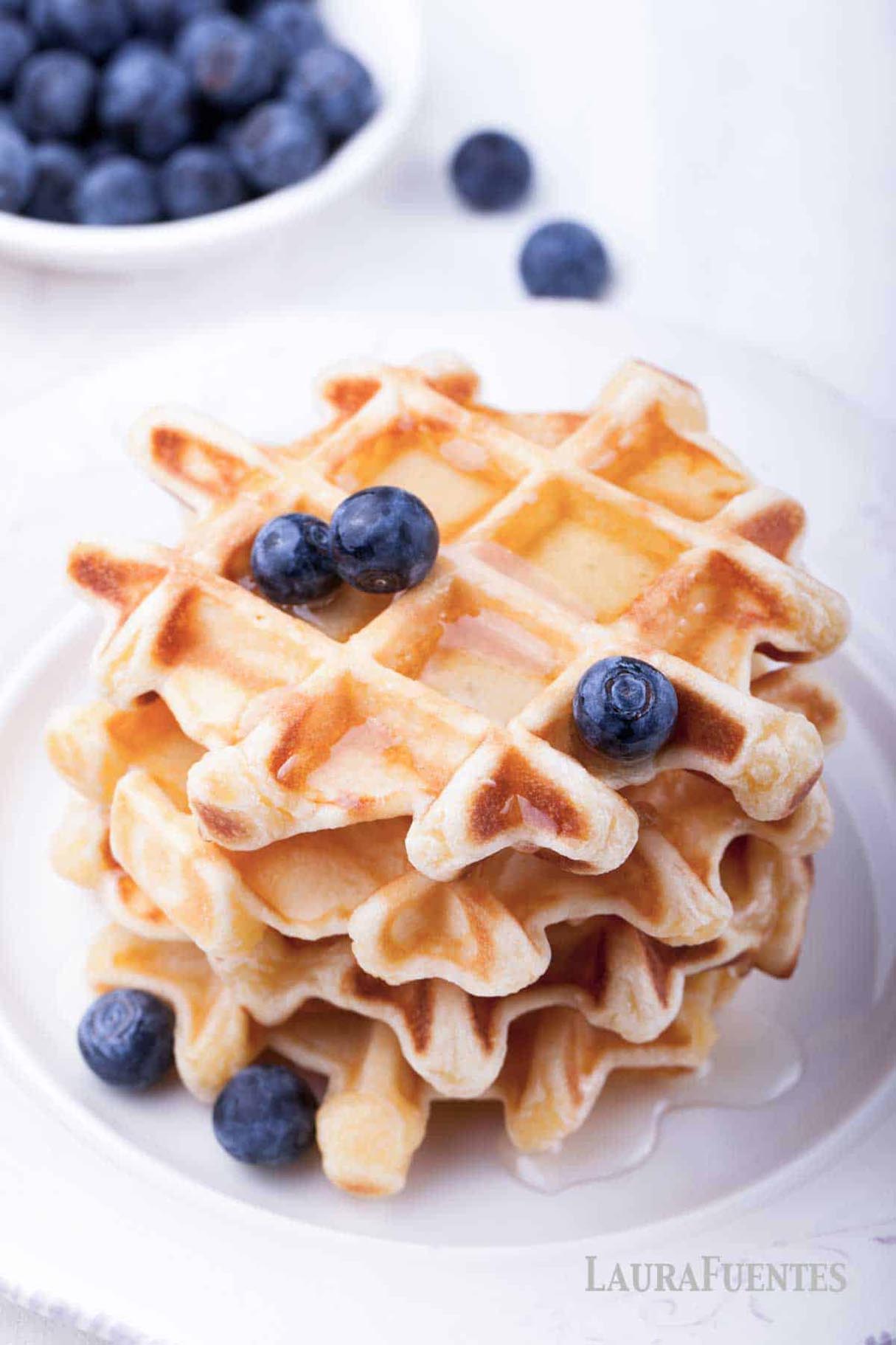 Homemade Dairy-Free Gluten-Free Waffles