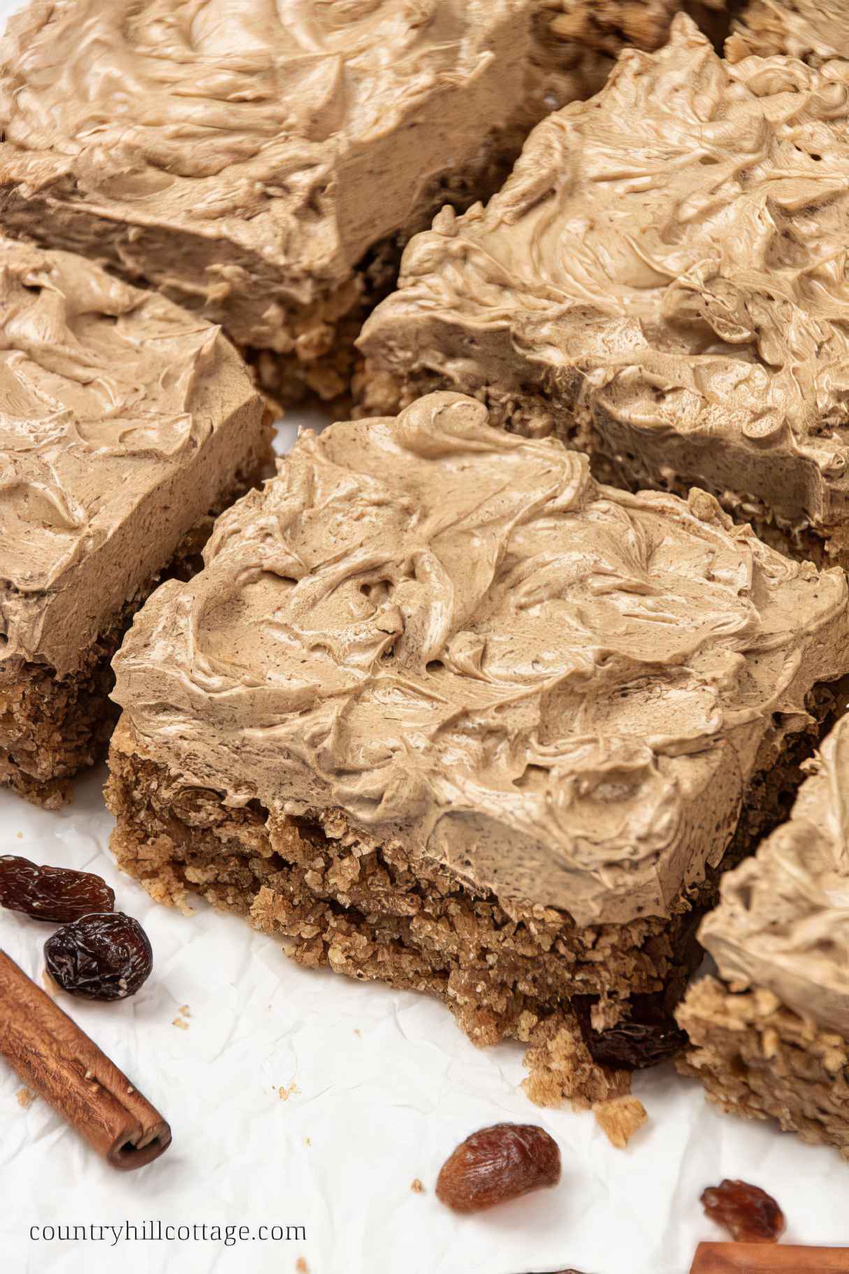 Vegan Applesauce Cake with Cinnamon Maple Frosting Gluten-Free Paleo