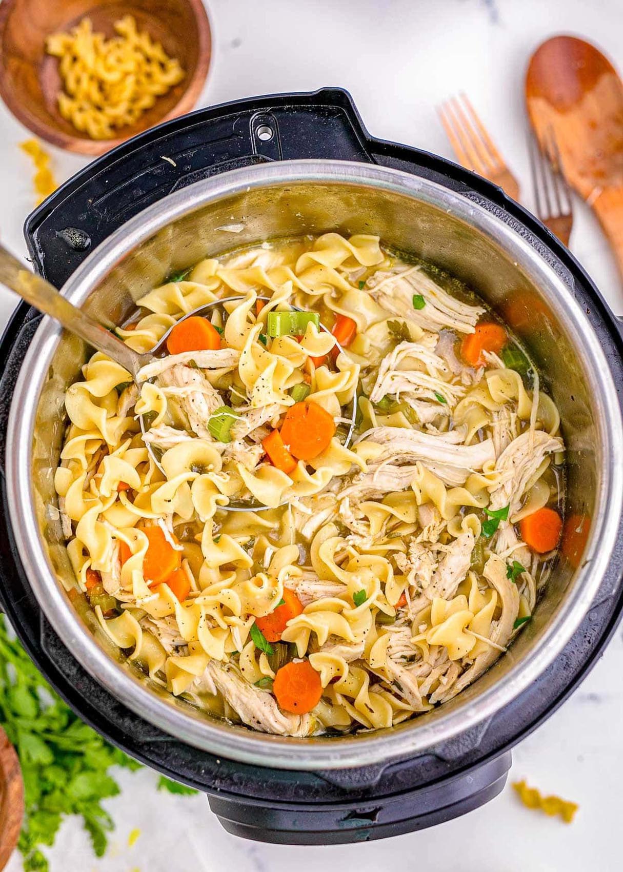 Instant Pot Chicken Noodle Soup