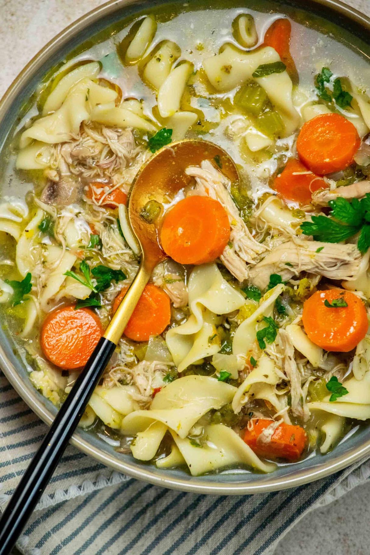Quick & Easy Chicken Noodle Soup with Rotisserie Chicken